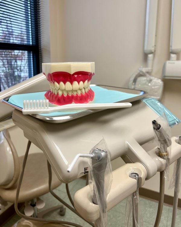 Model of teeth with toothbrush in dental office examination room